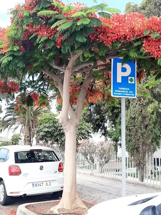 Apartamento Dias Magicos en Costa del Silencio